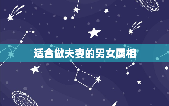 适合做夫妻的男女属相，夫妻五行相生相克超准