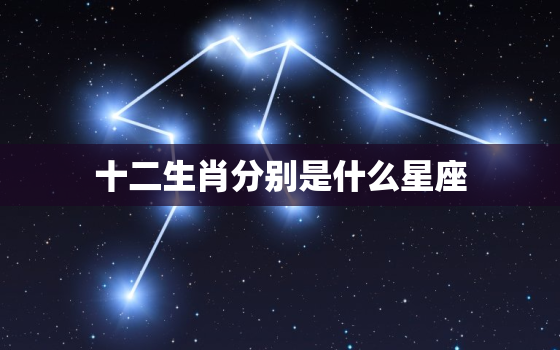 十二生肖分别是什么星座，十二生肖星座排序