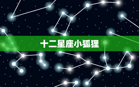 十二星座小狐狸，十二星座小视频