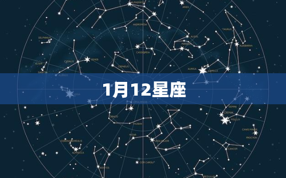 1月12星座，1月12日出生的人