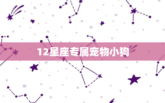 12星座专属宠物小狗，十二星座代表的仙女