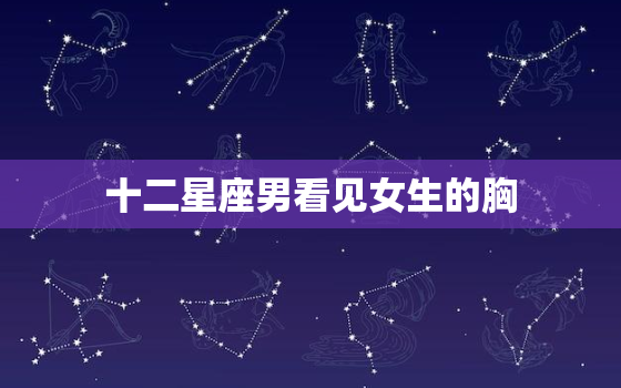 十二星座男看见女生的胸，女人最崇拜的星座男