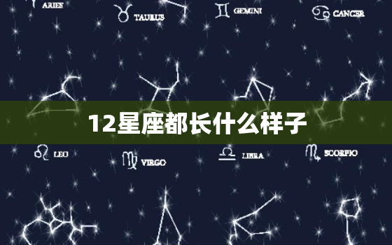 12星座都长什么样子，十二星座的公主裙是什么样子的