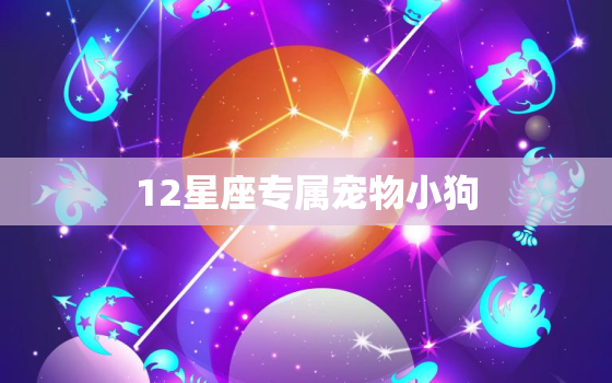 12星座专属宠物小狗，十二星座代表的狗狗