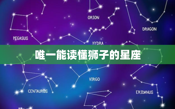 唯一能读懂狮子的星座，会娶狮子女的星座男