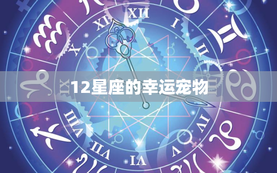 12星座的幸运宠物，12星座最适合的狗