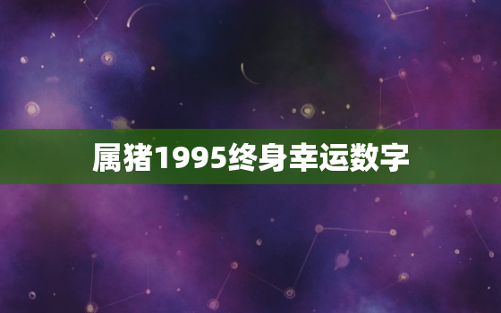 属猪1995终身幸运数字，手机号码测吉凶