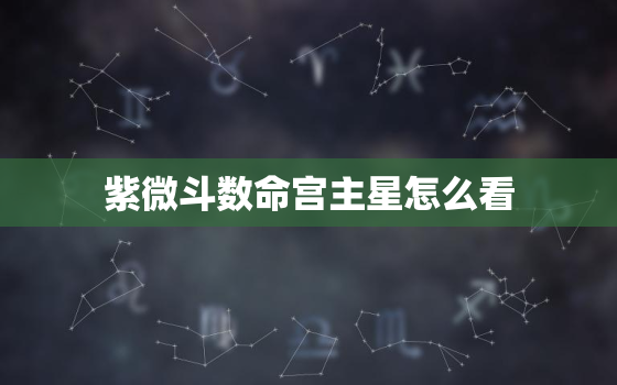 紫微斗数命宫主星怎么看，命宫主星廉贞七杀