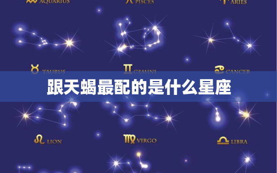 跟天蝎最配的是什么星座，天蝎后面是什么星座