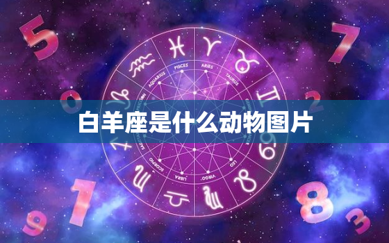 白羊座是什么动物图片，白羊座图片星空图