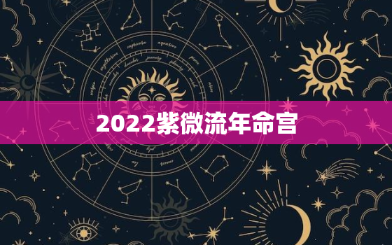 2022紫微流年命宫，2022 年流年命宫天梁