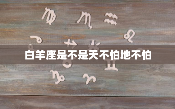 白羊座是不是天不怕地不怕，天不怕地不怕的人性格