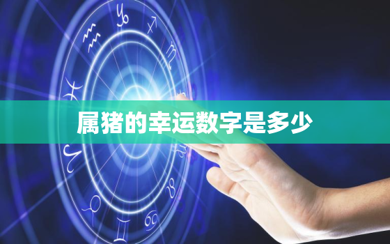 属猪的幸运数字是多少，属猪人永久吉利的数字