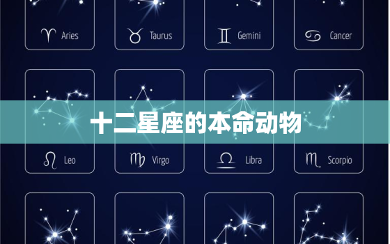 十二星座的本命动物，代表12星座的动物们