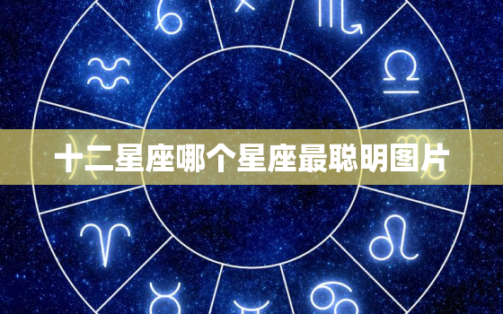 十二星座哪个星座最聪明图片，什么星座最聪明最厉害