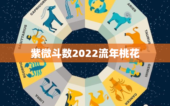 紫微斗数2022流年桃花，2022年八字流年运势