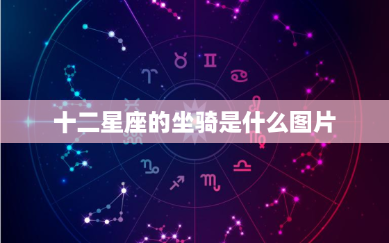 十二星座的坐骑是什么图片，十二星座专属神龙坐骑图片