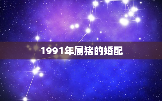 1991年属猪的婚配，1995年男属猪的和1991女属羊的配吗?