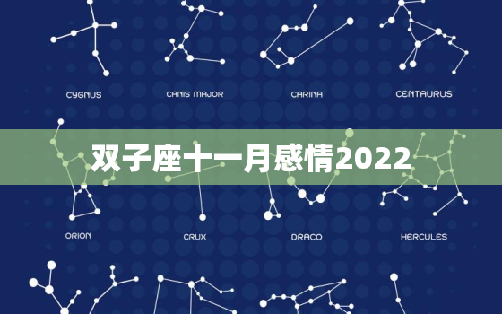 双子座十一月感情2022，12星座谁会迷恋双子