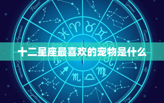 十二星座最喜欢的宠物是什么，十二星座适合的手机