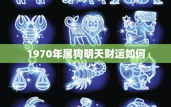 1970年属狗明天财运如何，1970年属狗2022 年运势及运程女性