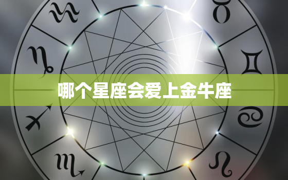 哪个星座会爱上金牛座，金牛座一生更爱的星座