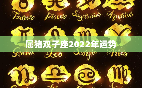 属猪双子座2022年运势，2022年属猪人的全年每月