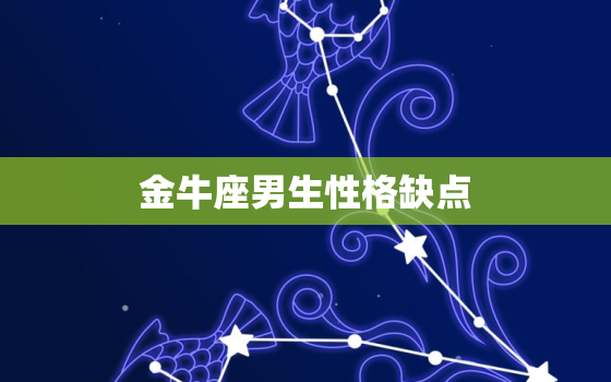 金牛座男生性格缺点，金牛座男生特点