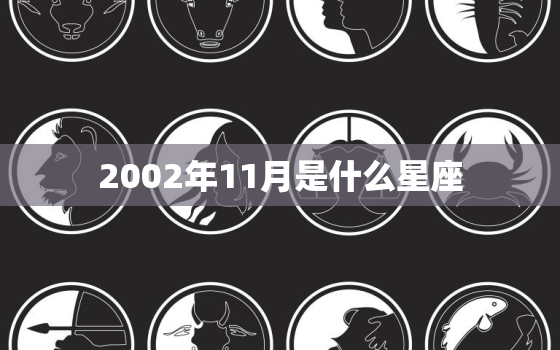 2002年11月是什么星座，零二年十一月二十一是什么星座