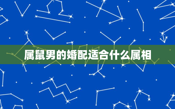 属鼠男的婚配适合什么属相，属鼠男性适合的婚配属相