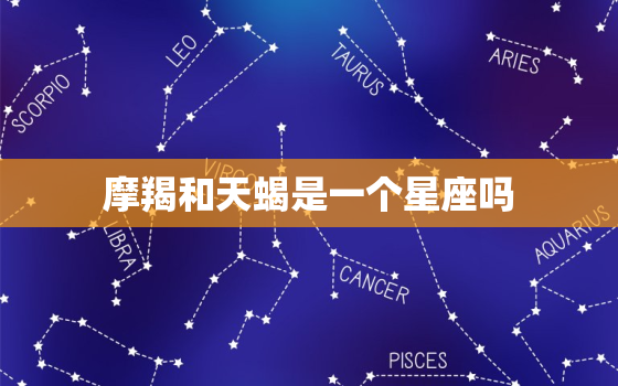 摩羯和天蝎是一个星座吗，摩羯男特别爱天蝎