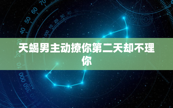 天蝎男主动撩你第二天却不理你，天蝎男喜欢一个人的小举动