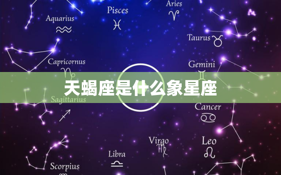 天蝎座是什么象星座，上帝偏心天蝎座