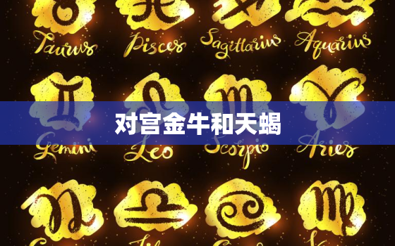 对宫金牛和天蝎，天蝎金牛夫妻宫