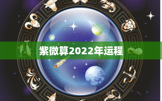 紫微算2022年运程，算2022 年运程