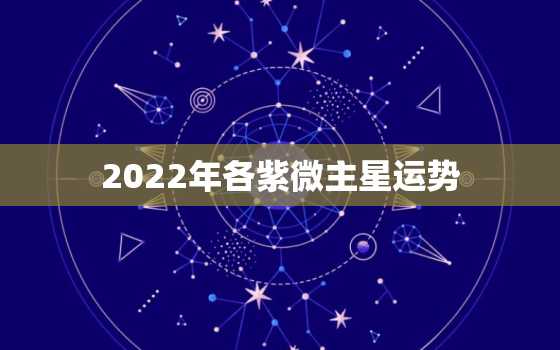 2022年各紫微主星运势，2022紫微斗数运势