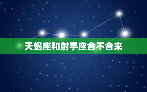 天蝎座和射手座合不合来，天蝎座跟狮子座和不合