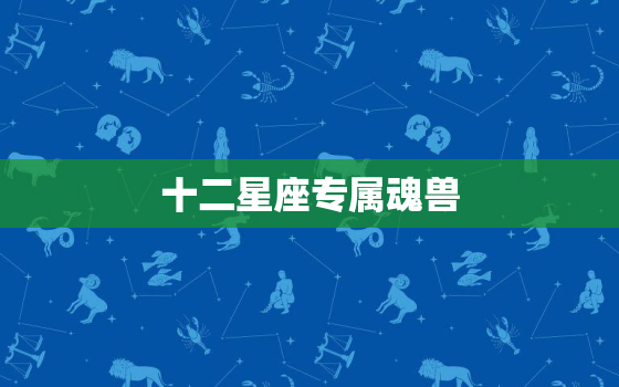 十二星座专属魂兽，测测你在斗罗大陆的名字