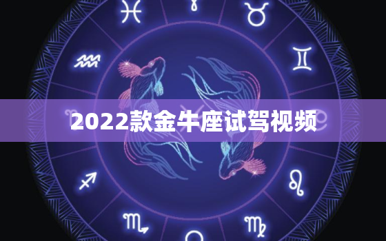 2022款金牛座试驾视频，2022 款蒙迪欧试驾视频