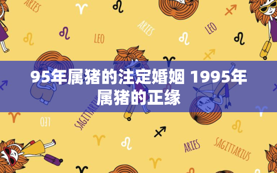 95年属猪的注定婚姻 1995年属猪的正缘