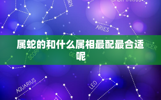 属蛇的和什么属相最配最合适呢，属蛇和什么生肖的人最配合适配偶