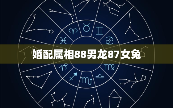 婚配属相88男龙87女兔，1992年属猴男和1997年属牛女