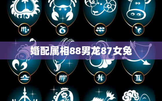 婚配属相88男龙87女兔，1992年属猴男和1997年属牛女