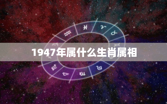 1947年属什么生肖属相 属猪人的命运分析