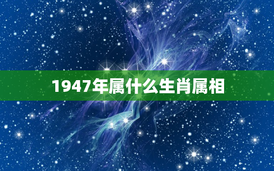 1947年属什么生肖属相 属猪人的命运分析