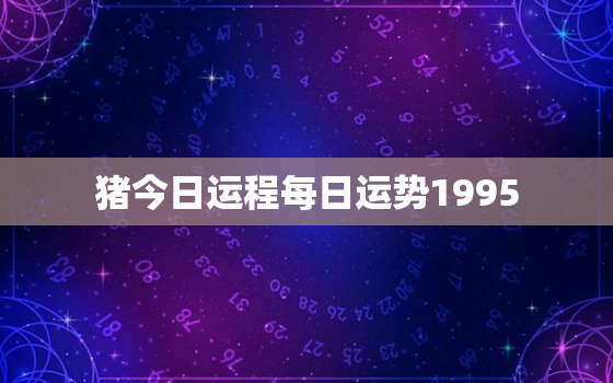 猪今日运程每日运势1995，属相猪今日运