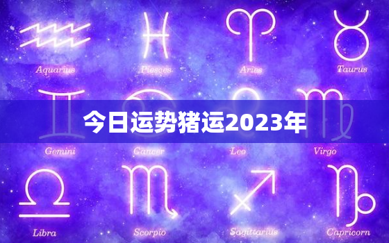 今日运势猪运2023年，猪肖今天运程