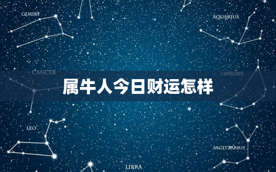 属牛人今日财运怎样，属牛人今日财运水墨先生