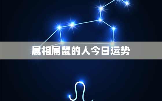 属相属鼠的人今日运势，属鼠今日运势每日运程