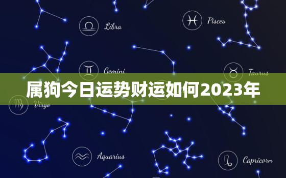 属狗今日运势财运如何2023年，属狗今日运势财运如何2023年运程